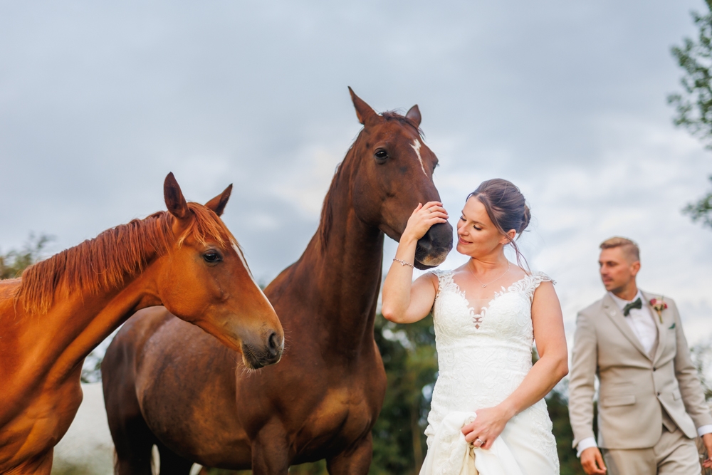 bride and groom with horses 