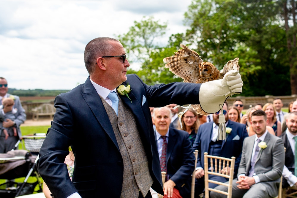 bird flying in wedding rings