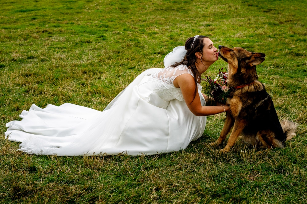 bride kissing her dog