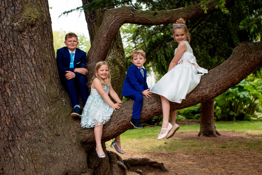 kids climbing the tree